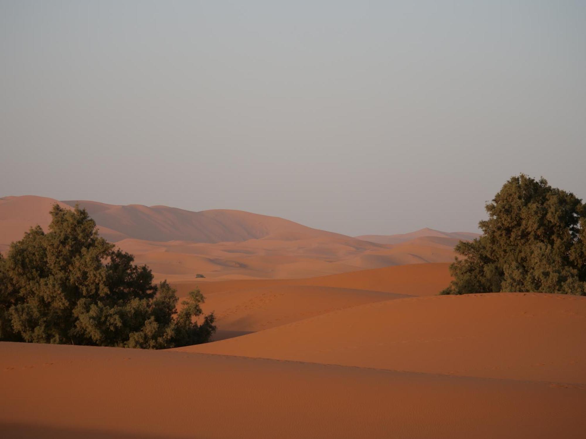 Kasbah Planet Sahara Hotel Merzuga Kültér fotó